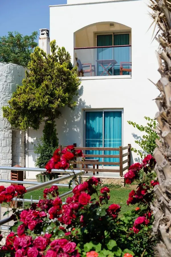 Costa Luvi Hotel Bodrum Gümbet