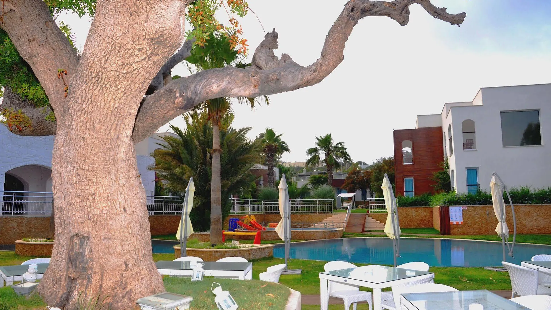 Costa Luvi Hotel Bodrum Gümbet 4*,